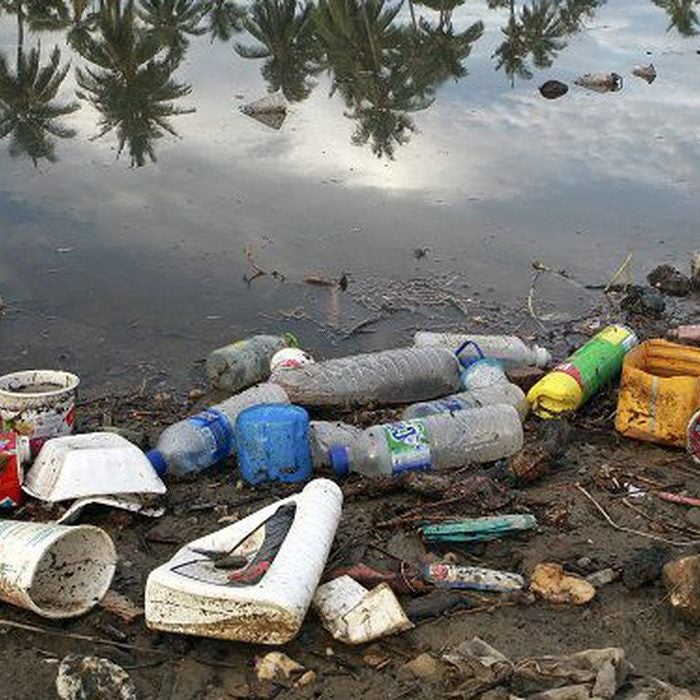 Impactos no meio ambiente | Veja quais são eles e os riscos