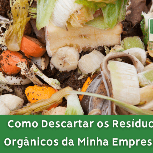 Como Descartar os Resíduos Orgânicos da Minha Empresa? Como Descartar os Resíduos Orgânicos da Minha Empresa?
